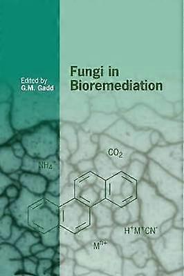 Svampar i bioremediation