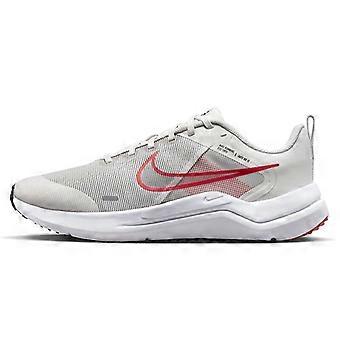 Nike Downshifter « Gris argent » DD9293-009