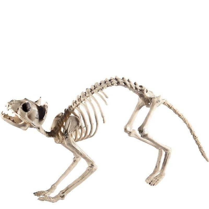 Cat Skeleton Prop Adult Natural 46913