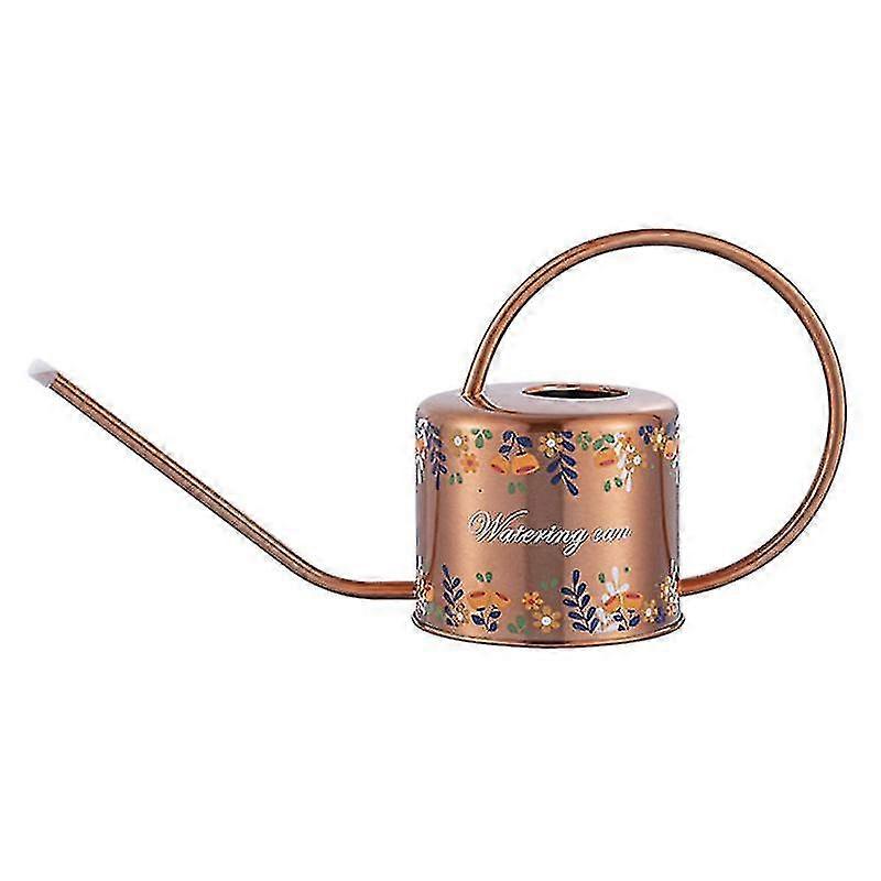 1pcs Watering cans, Stainless Watering Can