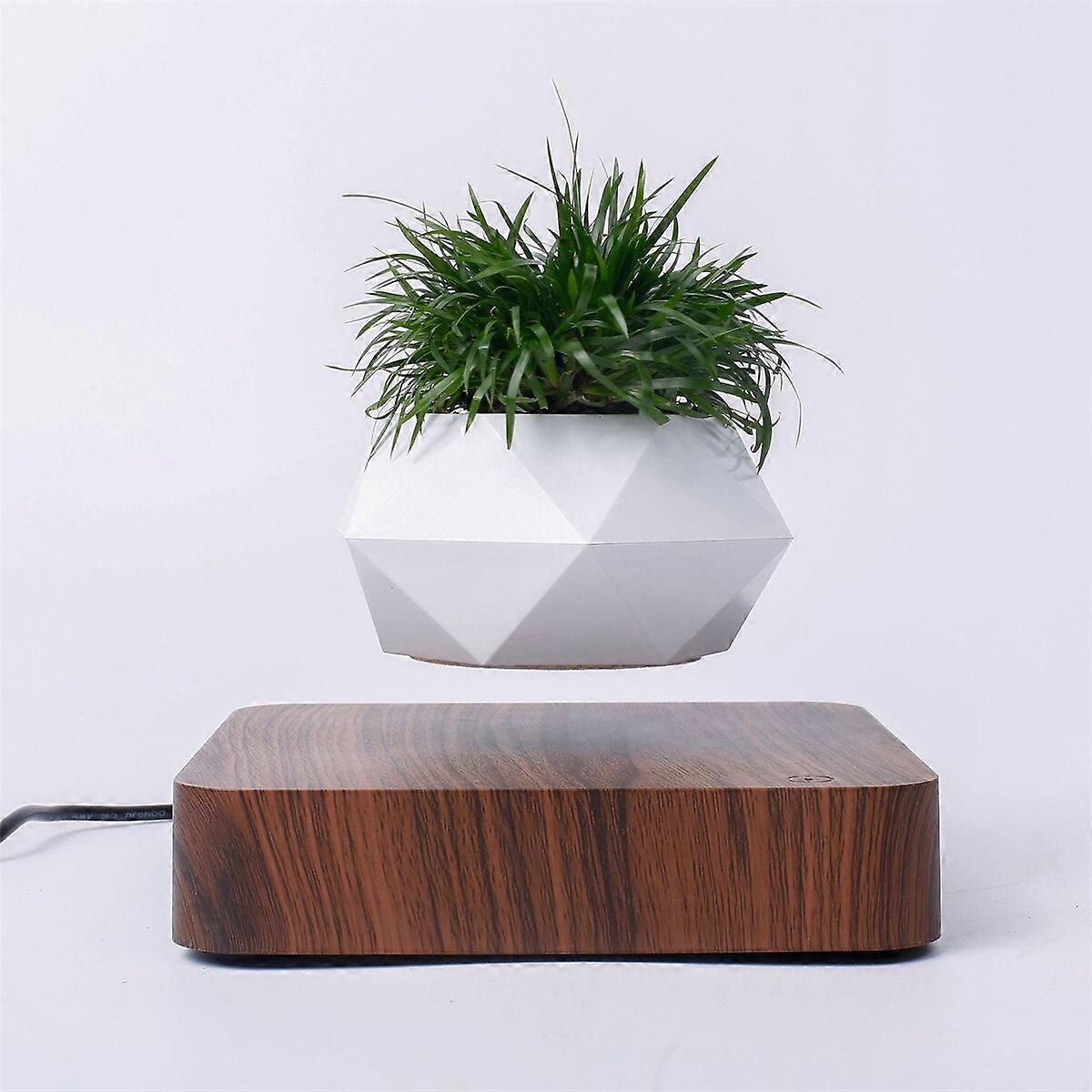 ZK- Levitating Floating Magnetic Flower Pot, Air Bonsai, Plant Vase, 360 Degree Rotation, Potted Planter for Office and Home Decor(deep colour)