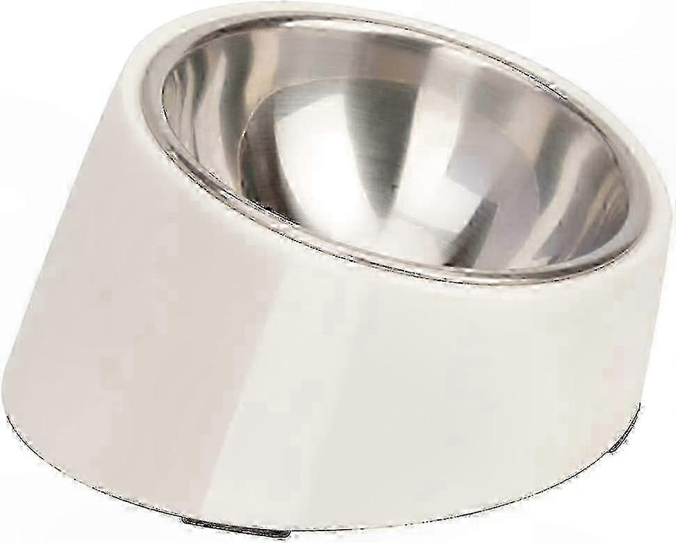 Ergonomic Tilted Feeding Bowl for Pets