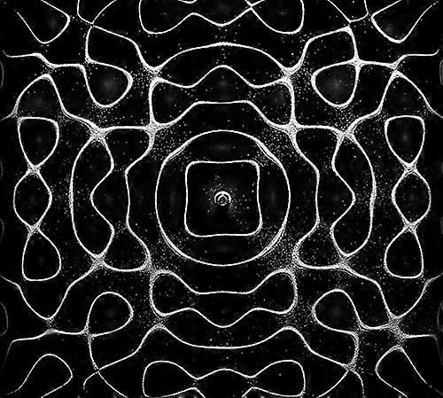 Node - Singularity [CD]