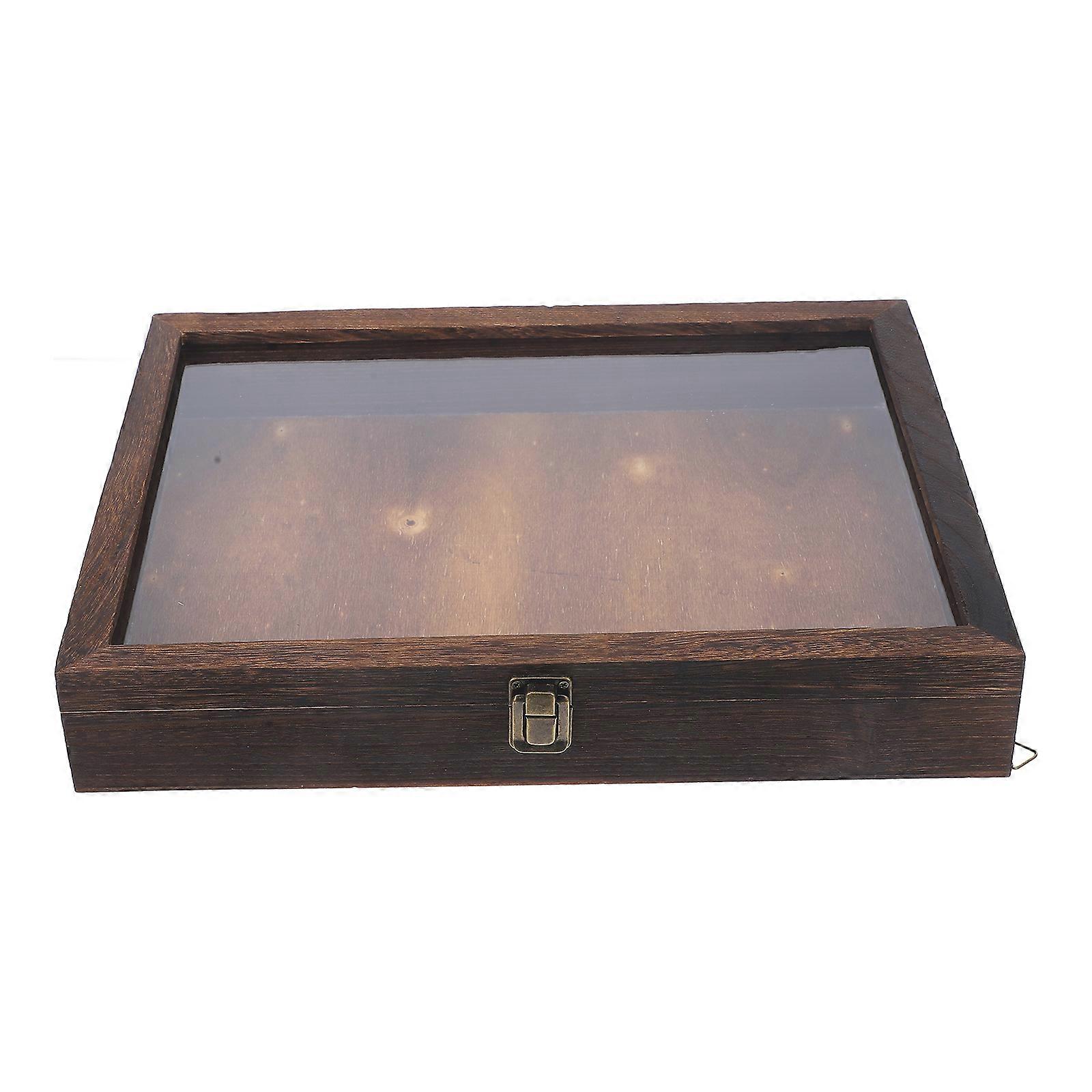 Insect Display Case Protective Specimen Box For Collectors Coffee Color Spacious Storage Function 1Pack
