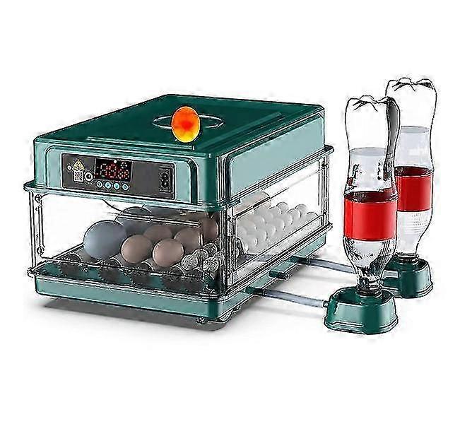 Portable Eggs Incubator 2025