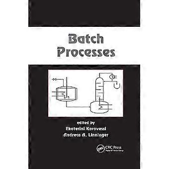 Procesy wsadowe - Taylor & Francis Ltd - Oprawa miękka - en Book