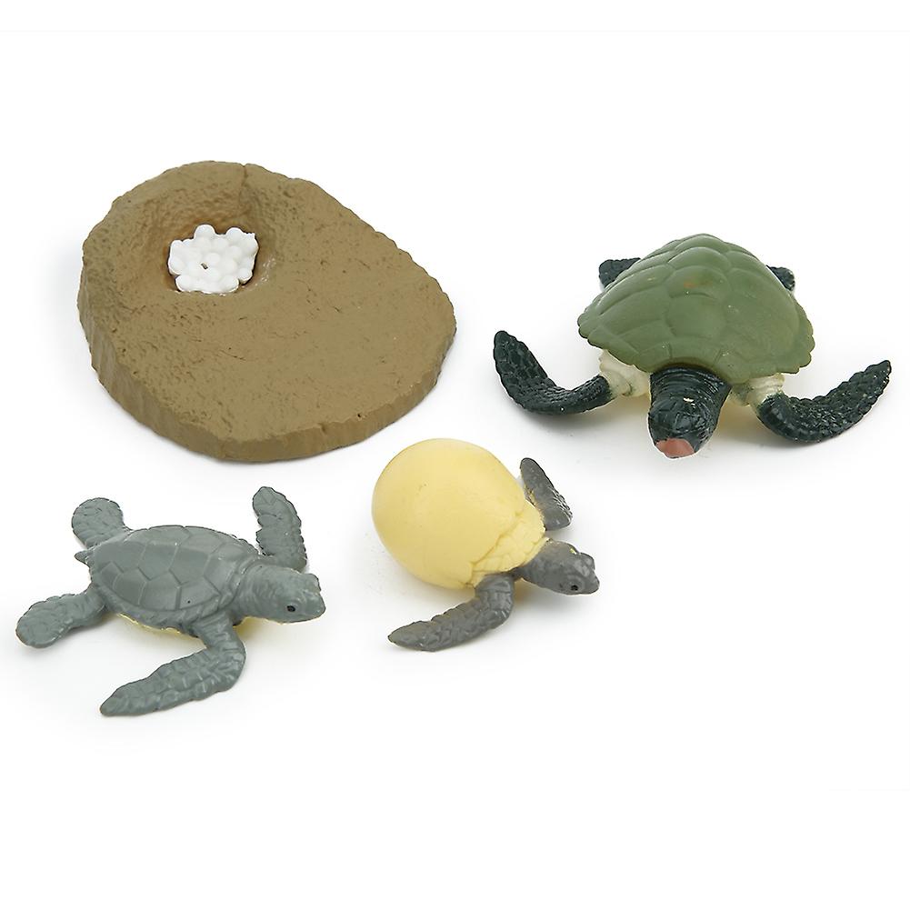 Highly Simulation Animal Life Cycle Model Toy Children Kid Learning Model Toy