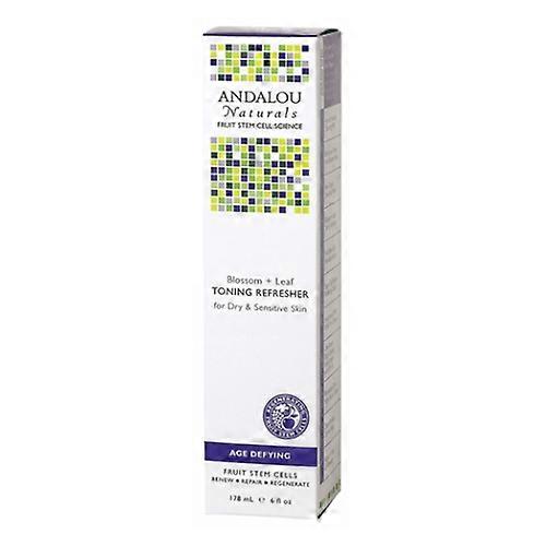 Andalou Naturals Blossom + Leaf 调理清新剂, 6 oz (Pack of 1)