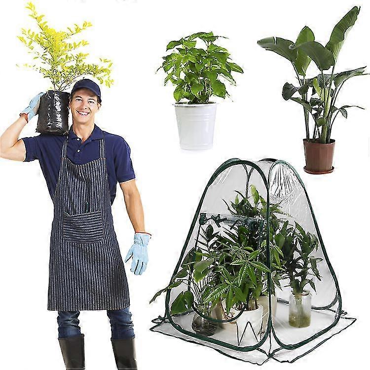 Dome Wintering Greenhouse 70*70*80Cm