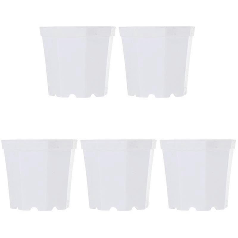 5pcs Mini Bonsai Flowerpot