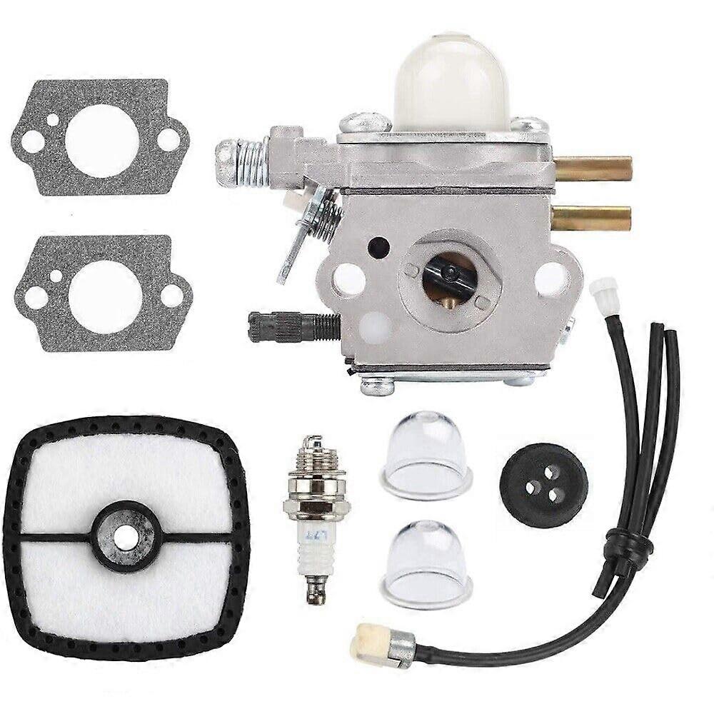 Replacement Tool Part for Chaaw Carburetor for Echo TT24A TT24 LHE2475 LST2450 SHR210 SHC1700 SHC2100 (US07243565)