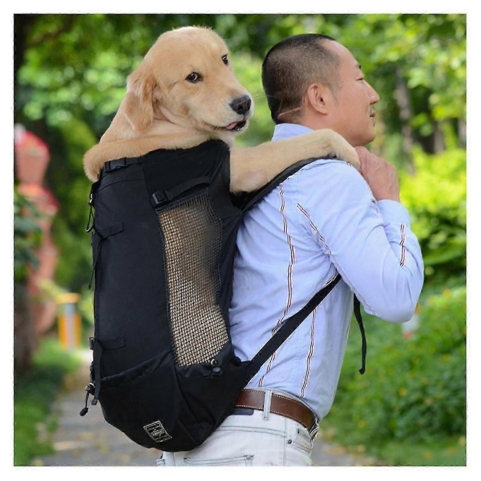 2025 Latest Model Adjustable Pet Dog Outdoor Travel Backpack For Hiking Cycling