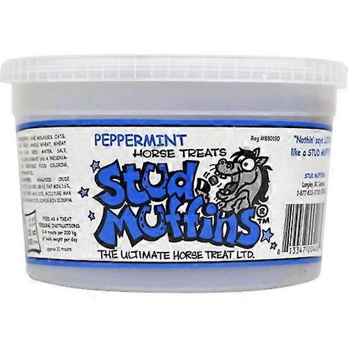 Studmuffin Desserts Stud Muffins Horse Treat Tub, 20 Oz, Peppermint