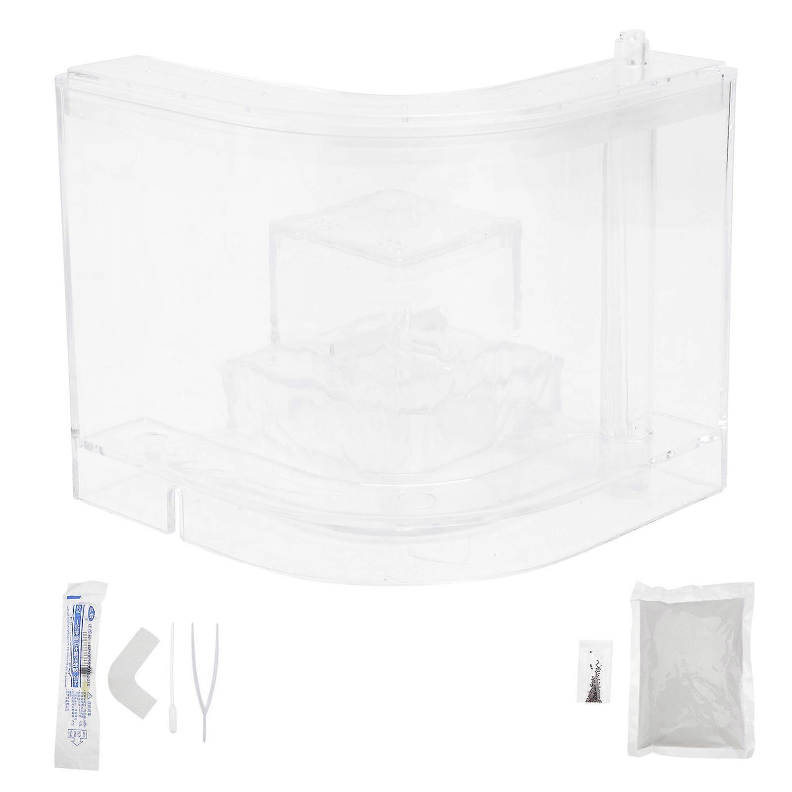 Ant Nest Toy Ant Breeding Box for Kids Science Toy 1Set Transparent