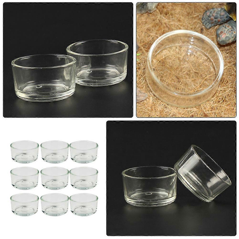 Reptile Food Holder Glass Basin for Tortoise Feeding 27 Pieces