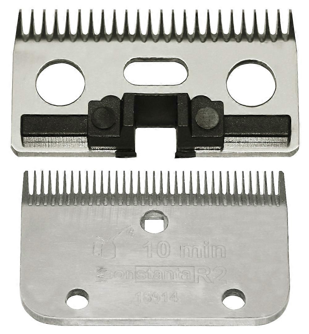 Constanta Rodeo R6 3mm 18/24 teeth