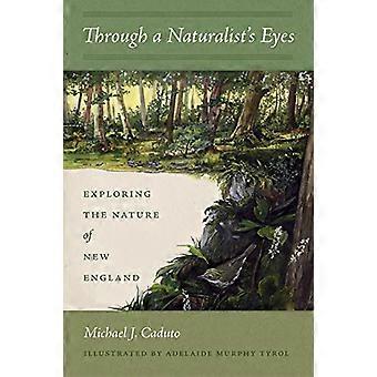 Door de ogen van een Naturalist: de natuur van New England