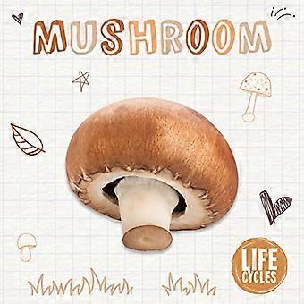 Pilz (Lebenszyklen)