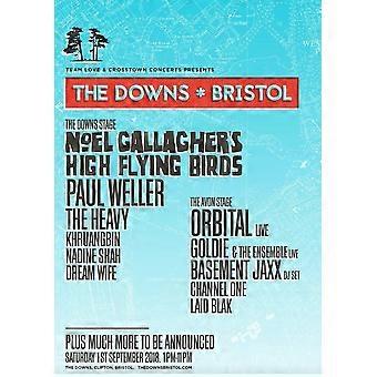 Gra logiczna „The Downs Bristol Noel Gallagher Weller Music Album” dla dorosłych i dzieci ZA0862