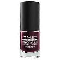 burgundy nail polish 6 ml