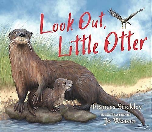 Look Out Little Otter