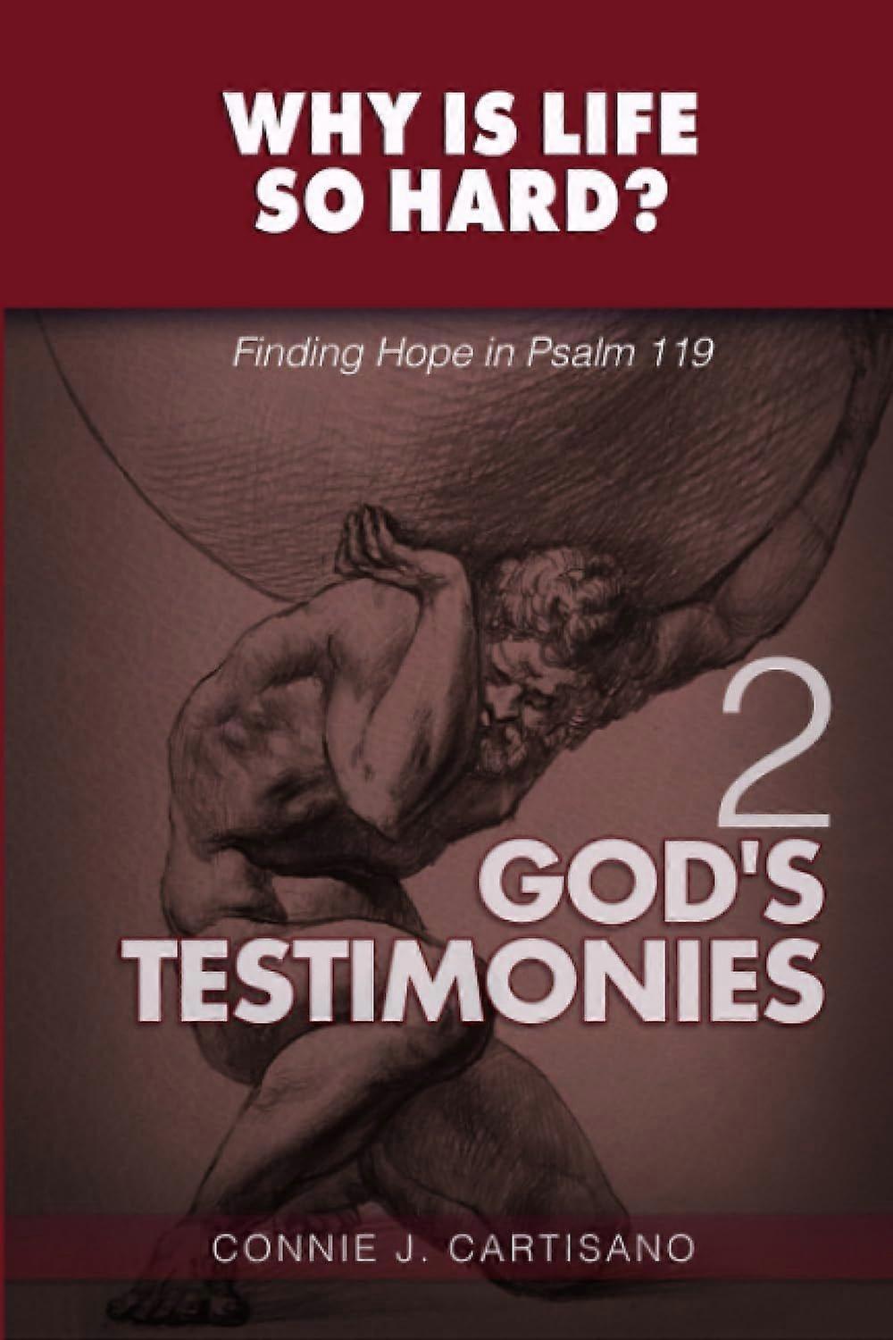 Volume 2 god's testimonies