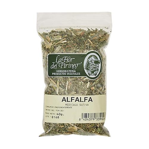 alfalfa grass 40 g