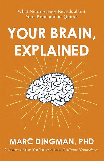 Your Brain Explained by Marc Dingman Paperback Book