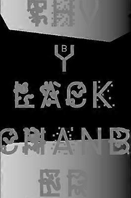 The Black Chamber. Surveillance Paranoia Invisibility & the Internet