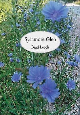Sycamore Glen