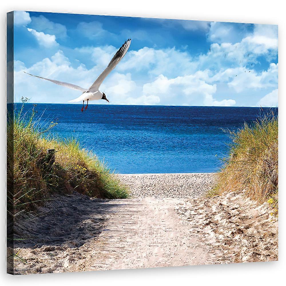 Impression sur toile, Chemin vers la plage et une mouette - 30x30
