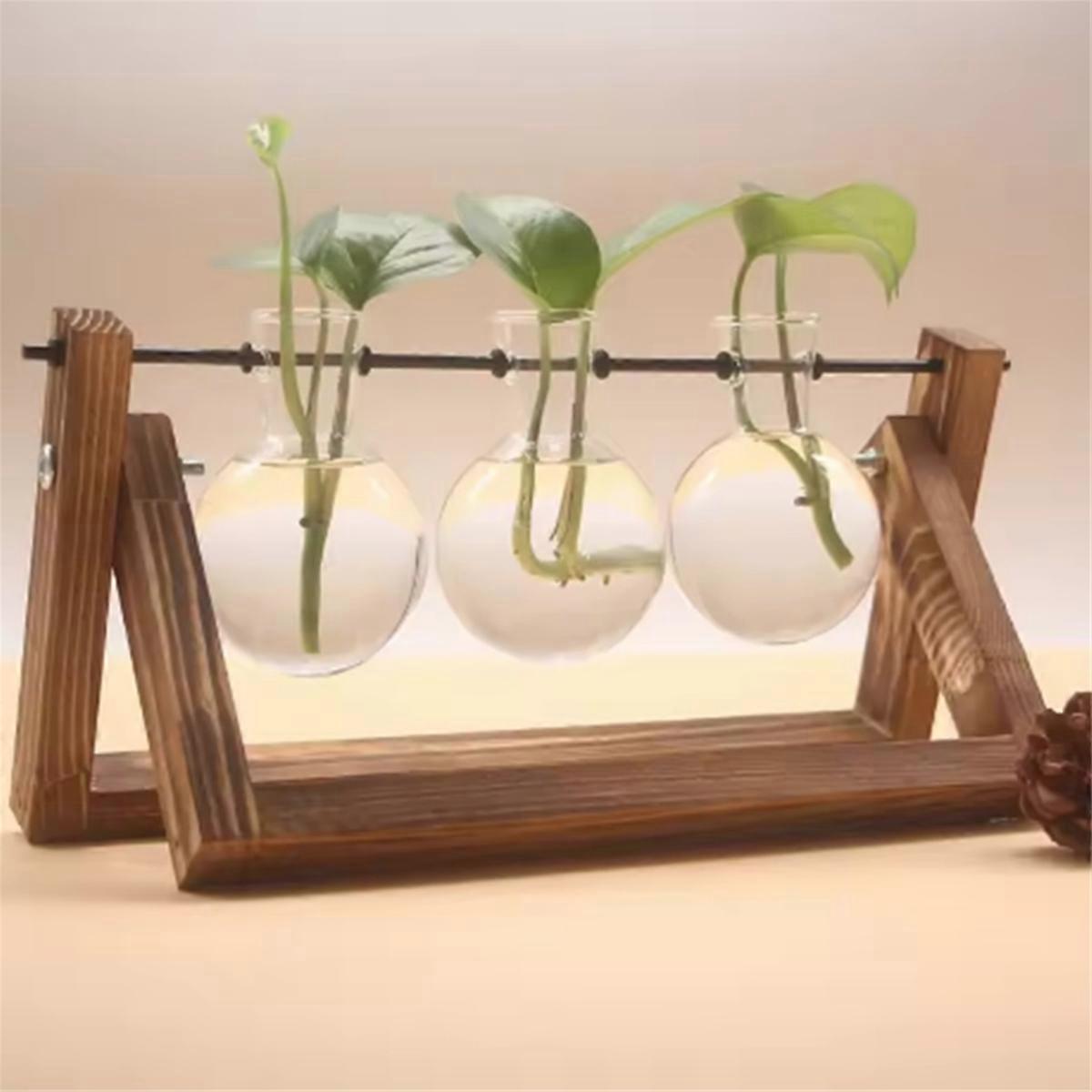 Wooden Frame Tabletop Vase Set Terrarium Display Containers C
