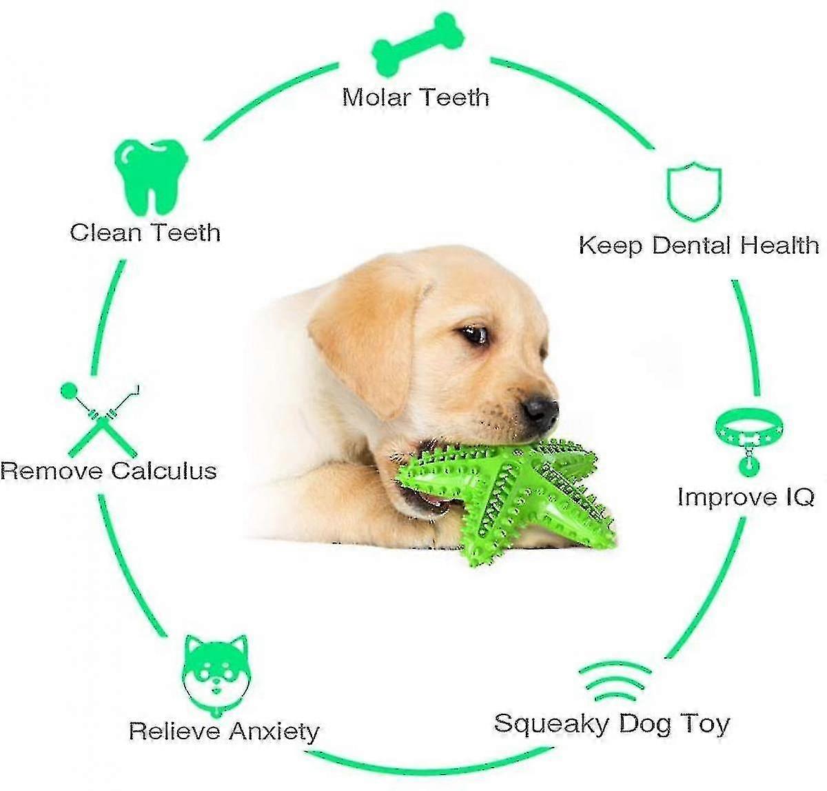Interactive Starfish Dog Chew Toy with Squeak for Teeth Cleaning, Suitable for Small, Medium, and Large Breeds, Perfect for Engaging Playtim