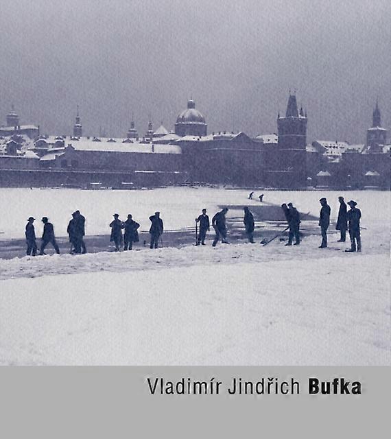 Vladimir Jindrich Bufka Paperback