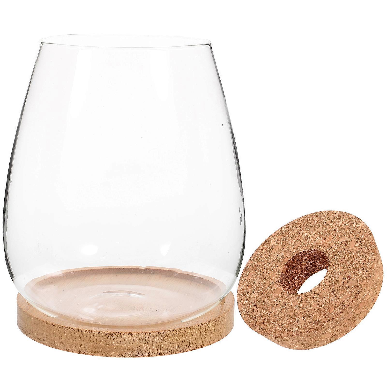 Decorative Succulent Vase with Simple Artistic Design Suitable for Garden and Office 1 Set