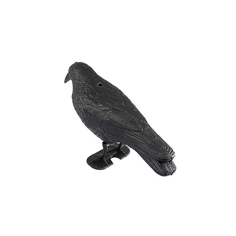 Raven Decor