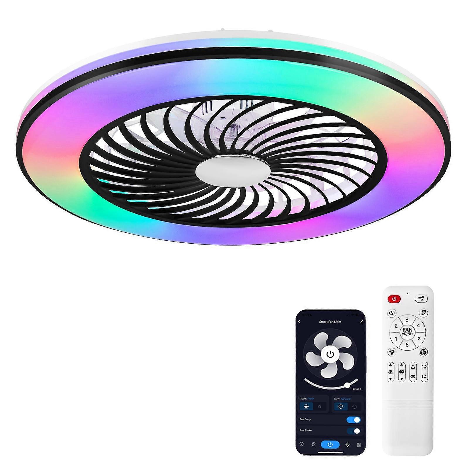 Enclosed Ceiling Fan with Light, 24 Inch Low Profile Flush Mount, Smart App Remote, RGB, Quiet DC Motor, Black