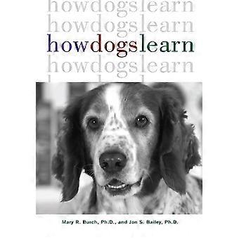 Hoe honden leren