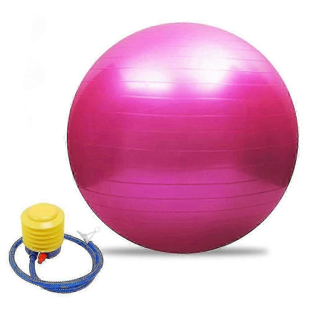 Exercise Ball Extra Thick for Office Home Gym Use