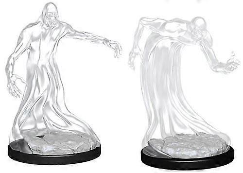 D&D Nolzur's Marvelous Unpainted Miniatures Shadow