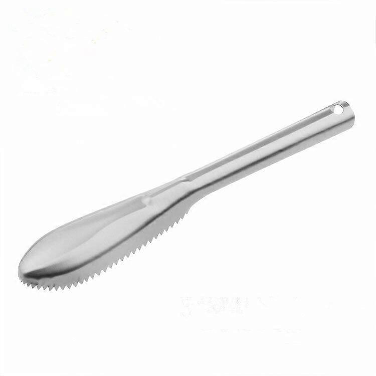 Fish Scaler, Fish Scale Scraper 22.5*3.5cm