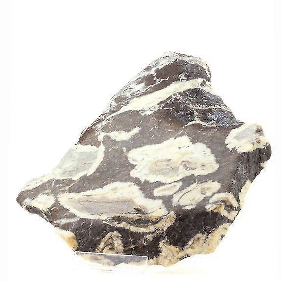 Siderite 7597.0 carats