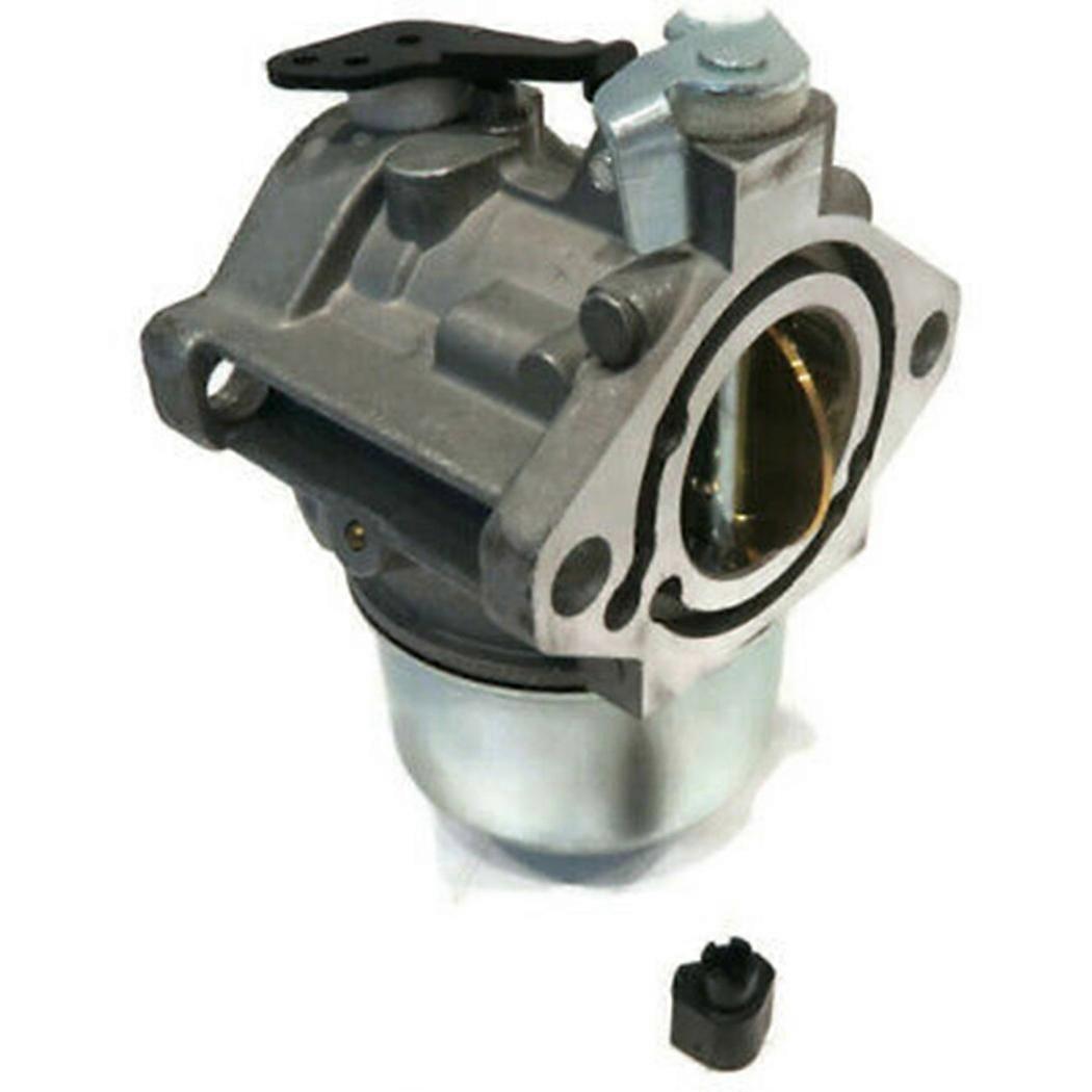 Motors Carburetor & Black Accessory Replace Kit Replacement Tool #694941 & 699831