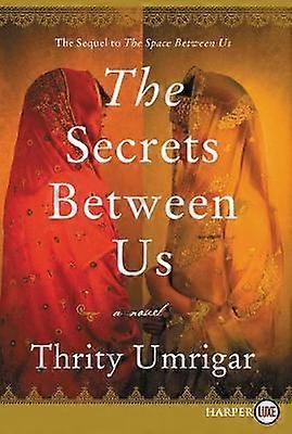 Secrets Between Us LP The