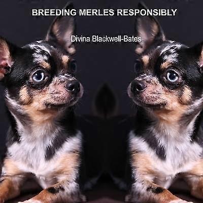 Cría de Merles de manera responsable