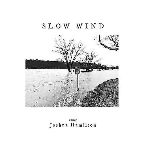 Slow Wind