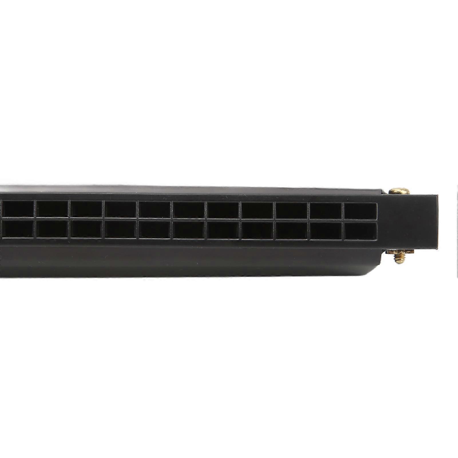 24 Holes Harmonica for Beginners, Plastic Wind Musical Instrument for Stage Performance