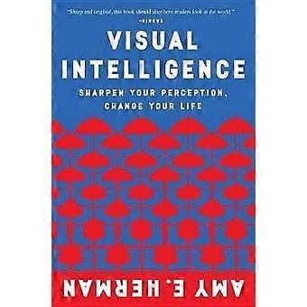 Visuell intelligens