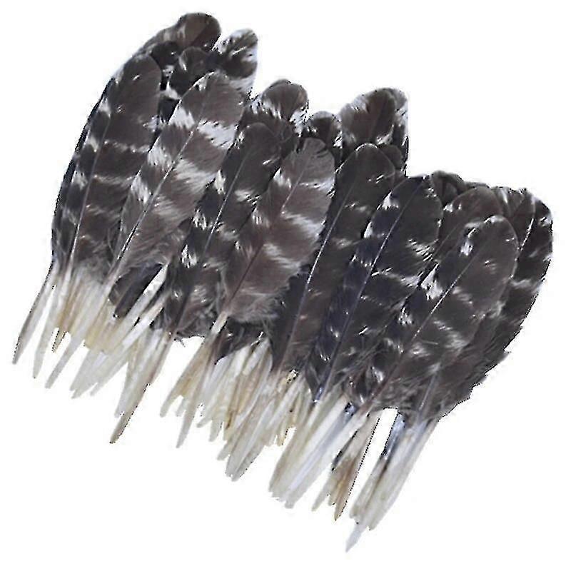 20 Count Handcrafted Feathers Decorative Pheasant and Turkey Feathers for Needlework Jewelry Making and Carnival Costumes