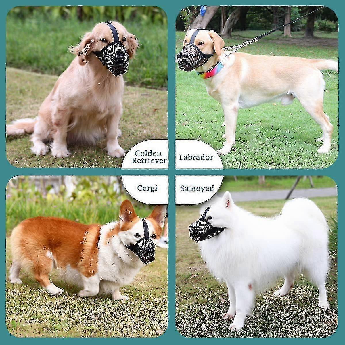 Secure dog muzzle for poison bait protection and comfortable wear
